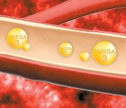 [건강한 가족] 심혈관질환 잡으려면 ‘혈관 청소부’ 오메가3 가까이 하세요
