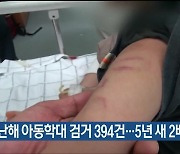 지난해 아동학대 검거 394건…5년 새 2배 이상 ↑