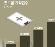 "보험금 청구할게요" 클릭 한 번에 끝…집사들 환호할 '펫보험 원스톱'