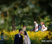 中, 결혼 연령대 높아져…혼인 건수도 최저