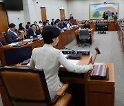 금융사 수장들 안보이네…금융권 국정감사 '맹탕' 우려