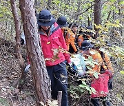 송이버섯 따러 갔다가 연락 두절… 70대 숨진 채 발견