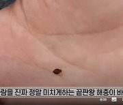 ‘빈대 출현’ 인천 사우나 결국 행정처분...“당분간 운영 중단”