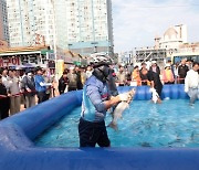 사흘간 열린 시흥 월곶포구축제 성료…방문 9만명 '역대 최다'(종합)