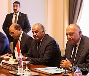 EGYPT FRANCE DIPLOMACY