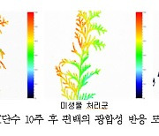 수목 가뭄 피해 줄이는 담수 미생물 개발...민관 맞손