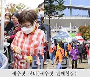 '마포나루 새우젓축제' 오는 20~22일 열려[동네방네]