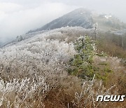 무주 설천봉 0.6도…전북 올가을 들어 가장 추웠다