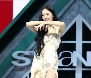 선미, 스트레인저 포즈