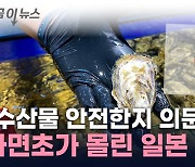 또 거부 당한 자국 수산물에...日 "철회하라" [지금이뉴스]