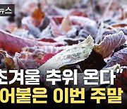 [자막뉴스] "가을이 있었는데 없어요"...'극강 추위' 예고