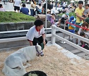 렛츠런파크 부산경남, 22일부터 ‘릴레이 가을축제’