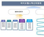 바이오헬스 산업 범정부 조직 ‘혁신위’ 출범…국무총리 위원장