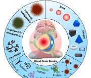 GIST, 알츠하이머병 등 치료 위한 고분자 나노운반체 개발