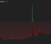 "美 비트코인 ETF 승인" 오보에 급등