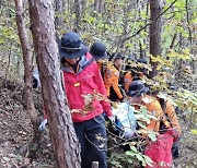 버섯 따러 갔다 숨진 채 발견…전국 곳곳에서 산악사고 급증