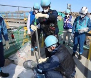 Tritium detected four times in a week since the second discharge of contaminated water by Japan