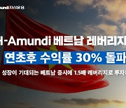 NH아문디 “베트남 레버리지 펀드 올해 수익률 30%”