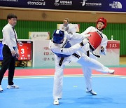 장흥군서 전국체전 태권도 ‘금빛 발차기’