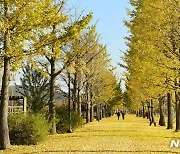 여주 강천섬힐링센터, ‘강천섬, 가을에 빠지다’ 프로그램 운영