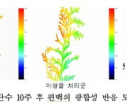 수목의 물 사용양 줄일 '담수 미생물' 개발