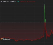 비트코인 'SEC의 현물 ETF 승인' 오보에 급등 후 추락