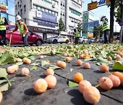 보행로 점령한 은행