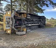 School Bus Overturns