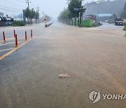 "차선이 안보여요"…국토부 민원접수, 4년새 2.3배로 늘어