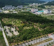 경북도청 신도시 '천년숲', 산림청 최우수 도시숲 선정