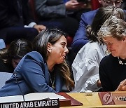 USA NEW YORK UNITED NATIONS SECURITY COUNCIL GAZA