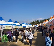 연천군, 내달 10∼12일 전곡리 유적서 '율무축제'