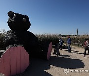 하늘공원에 산불피해목으로 만든 대형곰 전시