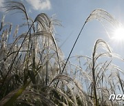 [오늘의 날씨] 울산(18일, 수)…맑음, 큰 일교차 주의