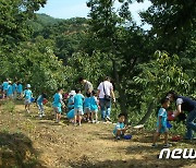 공주시 ‘밤 줍기 체험’ 휴양마을에 방문객 1만명