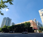 강남구 도곡로 1.16km 지중화