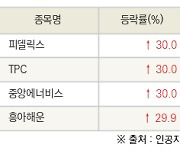 [fnRASSI]오늘의 상한가, 피델릭스 30.0% ↑