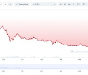 "1700원 코인이 500원으로"...'수이 코인' 논란, 국회까지 [코인브리핑]