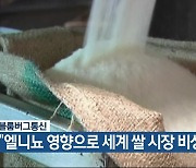 [기후는 말한다] 블룸버그통신 “엘니뇨 영향으로 세계 쌀 시장 비상”