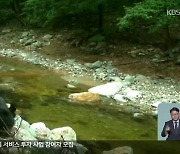 DMZ 반달가슴곰 ‘출몰’…군 ‘퇴치 스프레이’ 지급