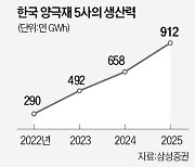 "배터리 소재 공급과잉"…韓기업, 증설 경쟁 멈추나