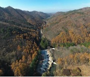 임실 성수산 ‘왕의숲 국민여가캠핑장’ 20일 정식 개장