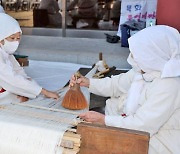 국내 첫 목화재배지 산청서 목화축제 열린다 [산청소식]