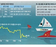 차이나 리스크에 떠는 '美빅테크 개미'