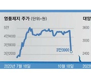 영풍제지 수상한 하한가 …"통정매매 조사"