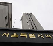 서울시 '공공결혼정보제공' 역할 맡을까…조례안 발의