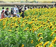 추운 경기남부, 건강 유의…낮 최고 19~22도