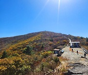 '울긋불긋' 지리산국립공원 가을단풍 내주 주말 절정 [뉴시스 앵글]