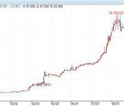 '영풍제지 개미들 어쩌나'…700% 급등했다 하한가, 오늘부터 거래정지
