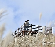 장안산 찾은 관광객